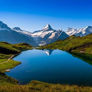 Meet your Posher, Rusty